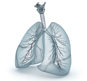 Künstliche Intelligenz für die Lungenkrebsdiagnose