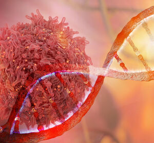 Merck Onkologie: DNA-gerichtete Substanzen im Fokus der Forschung