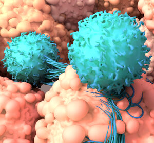 Kurzzeitig kultivierte CAR-T-Zellen: Neue Forschungsergebnisse zur Sicherheit