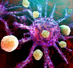 Neuer Kontrollpunkt zur Bekämpfung von soliden Tumoren identifiziert