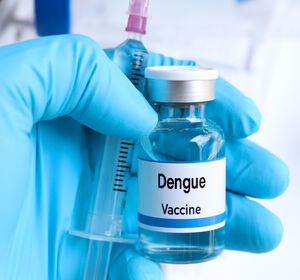 Dengue-Fieber auf dem Vormarsch
