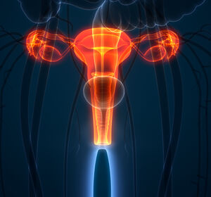 Endometrium- und Ovarialkarzinom: Aktuelle Daten zu Dostarlimab und Niraparib