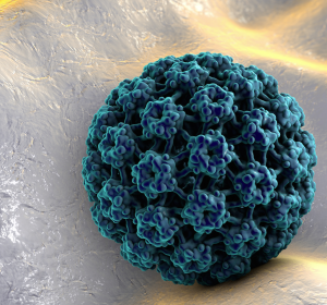 Zervikale intraepitheliale Neoplasie: HPV-Infektion erhöht Krebsrisiko stark