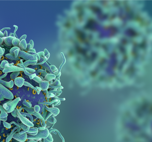 Dynamik des Tumormicroenvironments limitiert PD-L1-Expression als Gewebe-basierten Biomarker 