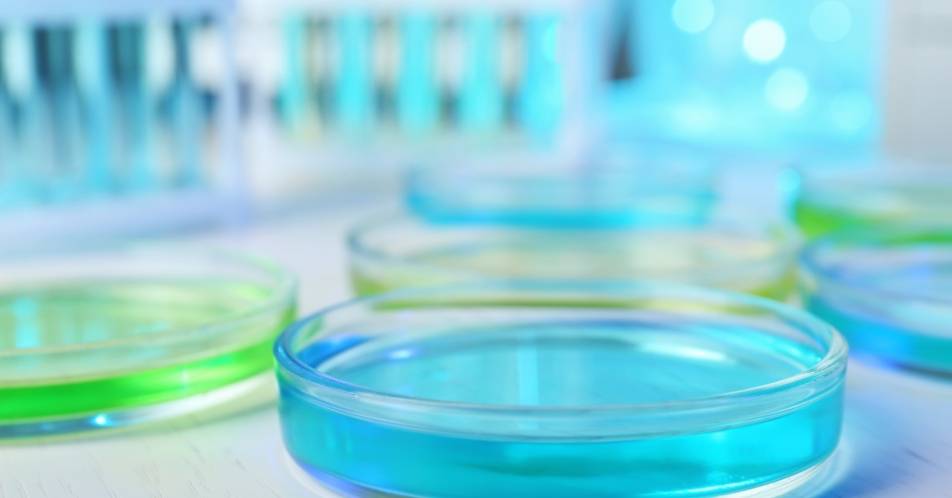 Zellen auf Resistenzen gegen Krebsmedikamente testen