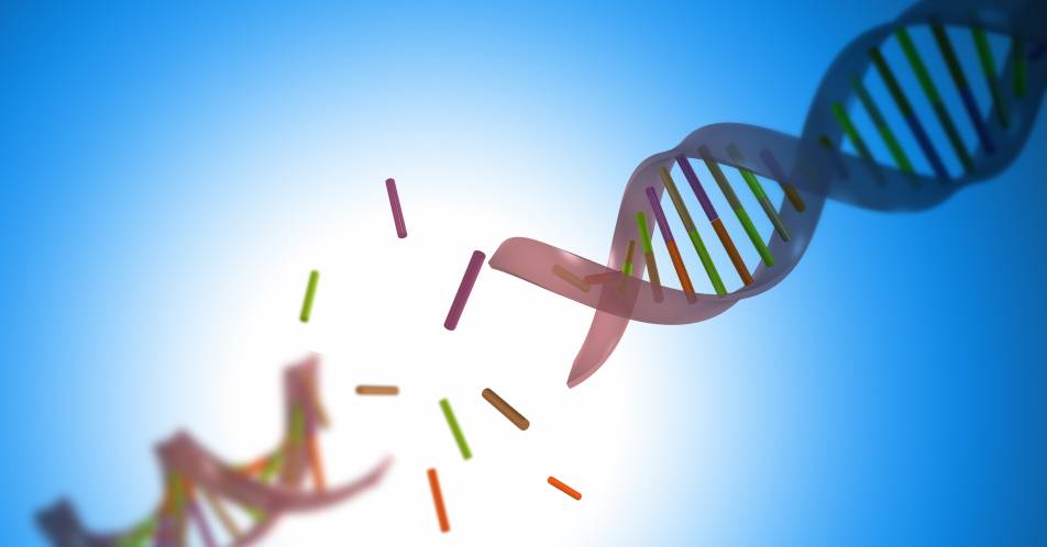 ERC Synergy Grant für ambitioniertes Forschungsvorhaben zum Thema DNA-Damage-Response/DNA-Reparatursysteme