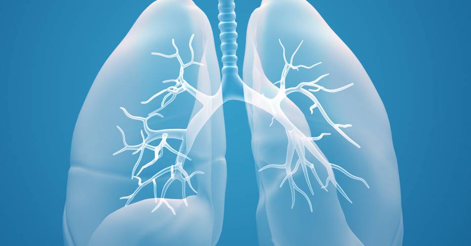 Nicht-kleinzelliger Lungenkrebs: Prognose verbessern – Überleben verlängern