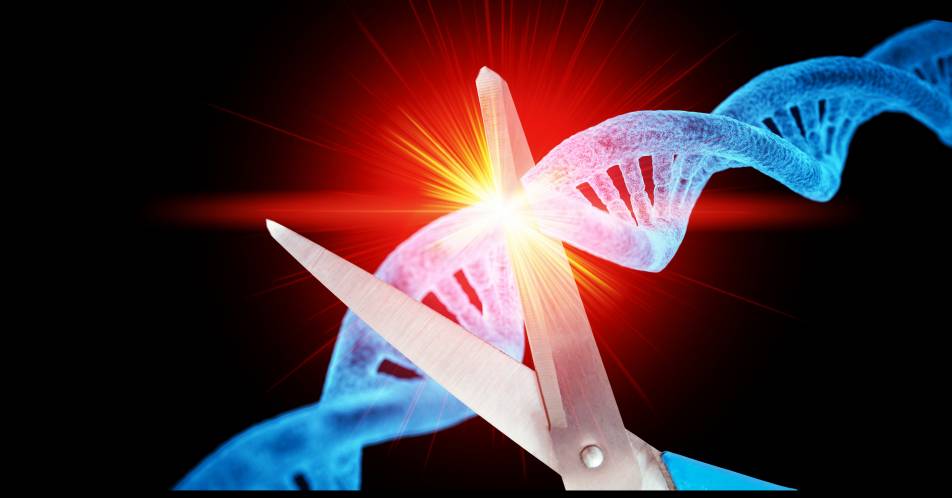 Thalassämie und Sichelzellanämie: Gentherapie CRISPR/Cas9 bei 2 Patientinnen erfolgreich