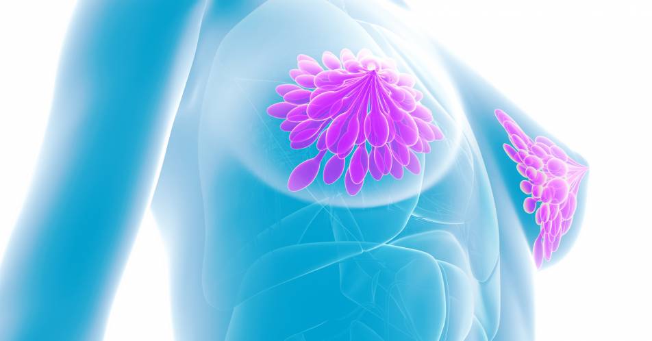 Luminal-B-Hochrisiko-Brustkrebs: Neoadjuvant Ribociclib + Letrozol erreicht ähnliche Ansprechraten wie Chemotherapie
