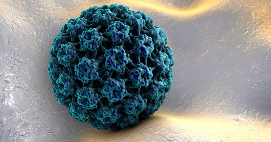 Basalzell-/Plattenepithelkarzinom: Humane Papillomviren programmieren ihre Wirtszellen um