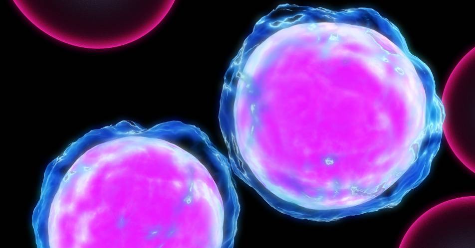 Leichtketten-Amyloidose: Mutationen in Plasmazellen ursächlich
