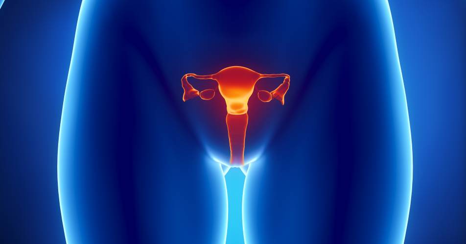 Aktualisierte S3-Leitlinie 2020: Diagnostik, Therapie und Nachsorge maligner Ovarialtumoren