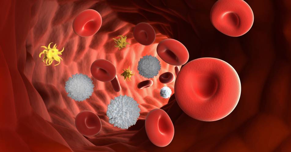 Chronische Immunthrombozytopenie: Neue Therapieoption mit Fostamatinib