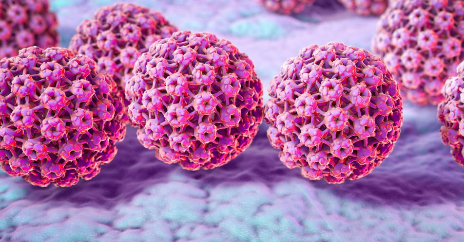 HPV: Tumormarker Bluttest bietet neue Chancen in der Diagnostik