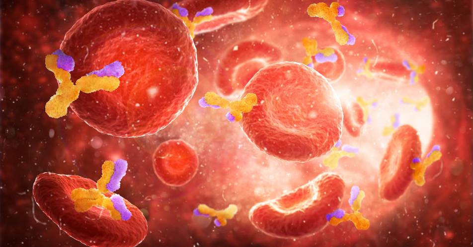 CTCL: Zielgerichtete Antikörper-Therapie mit Mogamulizumab