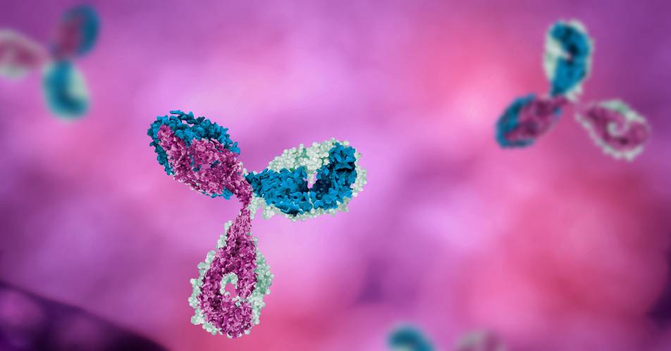 Mogamulizumab: Erste zielgerichtete Therapie bei kutanten T-Zell-Lymphomen