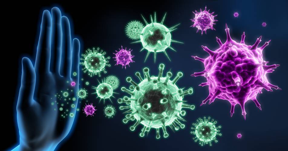 Belebung des Immunsystems zur Krebsabwehr