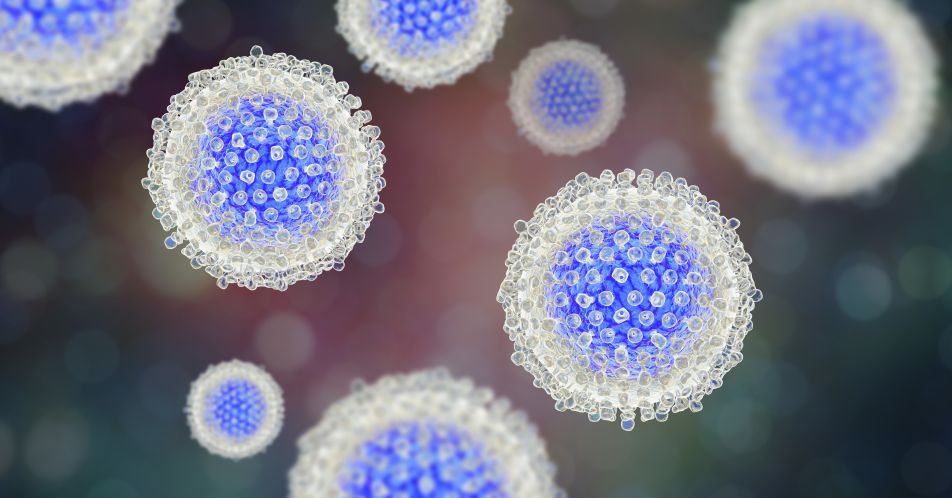 Hepatitis-C-Virus: Infektion beeinflusst Aktivität und Ausbreitung mobiler genetischer Elemente in Leberkrebszellen
