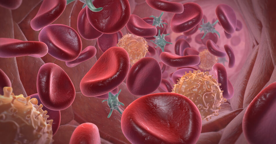 Immunonkologie: Neue Wege im Kampf gegen Krebs