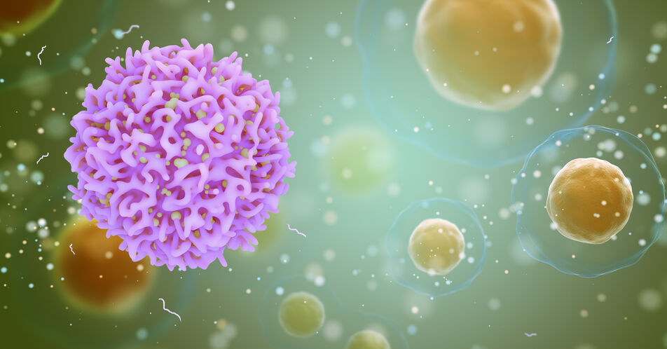 Autoimmunität und Krebs: Roquin steuert die Aktivität von Immunzellen