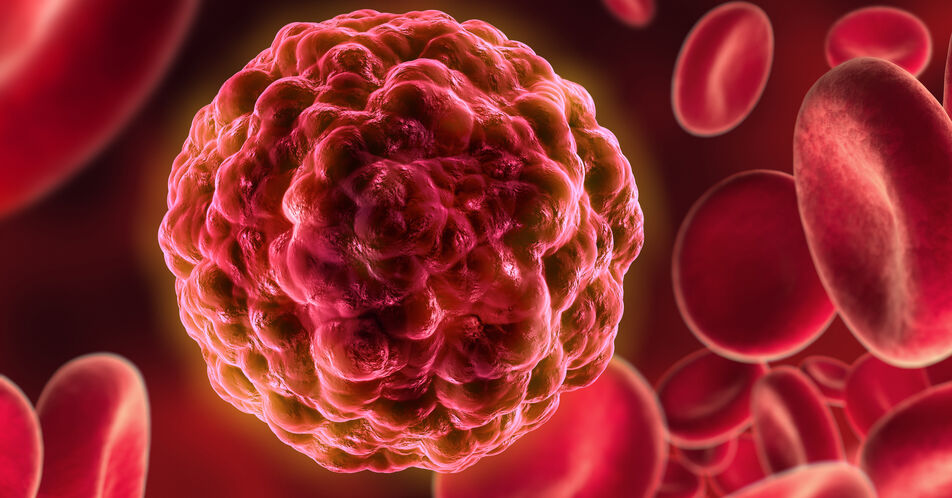 Wie entstehen Blut- und Leukämiezellen? Single Cell Diagnostik mit FACS-Analyse kombinieren
