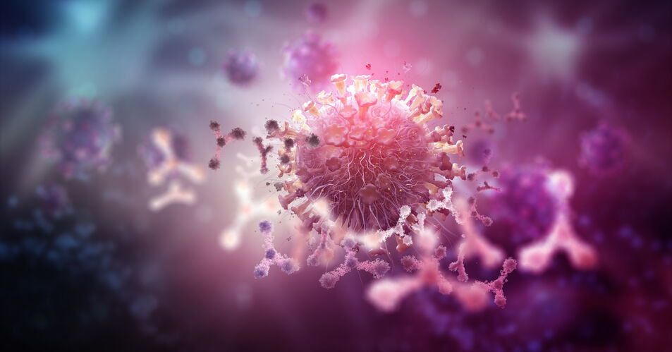 Sekundäre Immundefekte: Eine alltägliche Herausforderung in  der Hämato-Onkologie