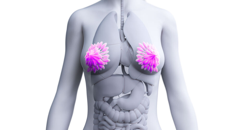Brustkrebs bei dichtem Gewebe besser erkennen: ToSyMa-Studie zeigt überlegene Diagnostik der Tomosynthese