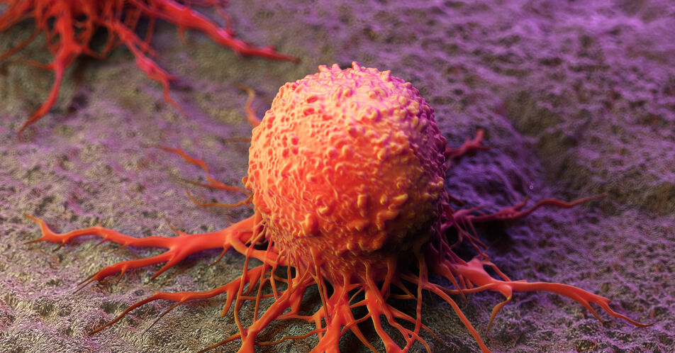 Neue Krebstherapien: Degrader für den gezielten Abbau von schadhaften Proteinen