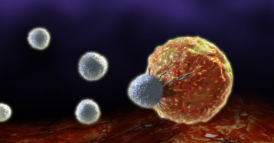 Nanoschalter für gezielte Tumorbekämpfung – SPRIND finanziert TUM-Ausgründung Plectonic