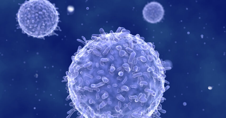 Körpereigene Immunzellen wirksam gegen Prostatakrebs
