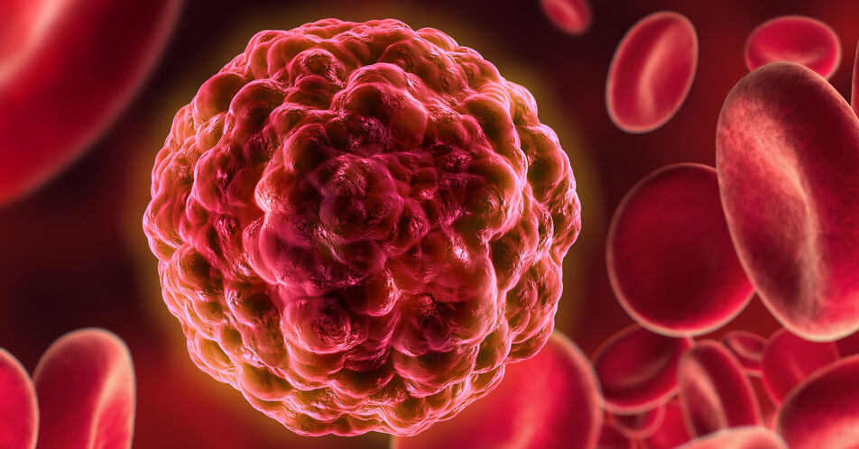 Stammzelltransplantation: Prozesse zur Wiederherstellung des Immunsystems entdeckt