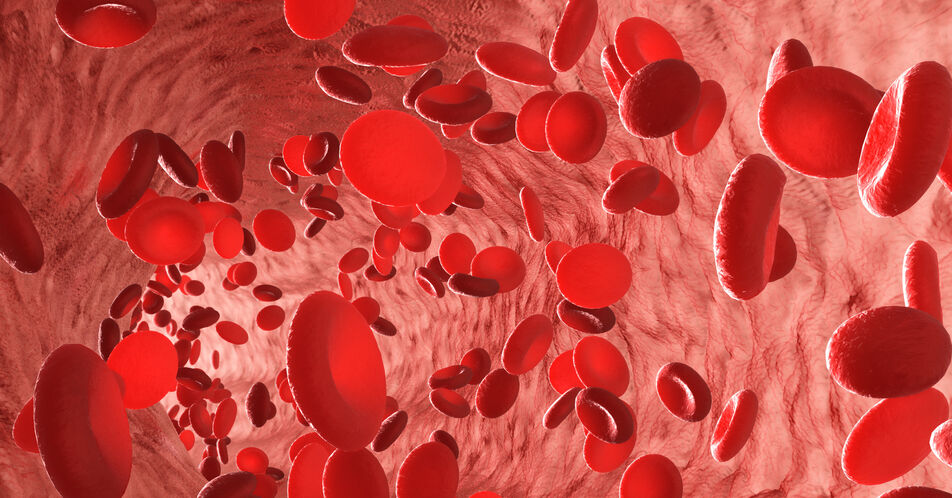 Zulassung von Luspatercept zur Behandlung der Anämie bei nicht-transfusionsabhängiger Beta-Thalassämie