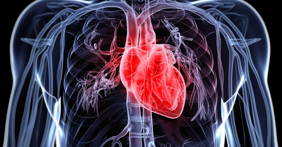 Kardiovaskuläre Erkrankungen durch CAR-T-Zelltherapien