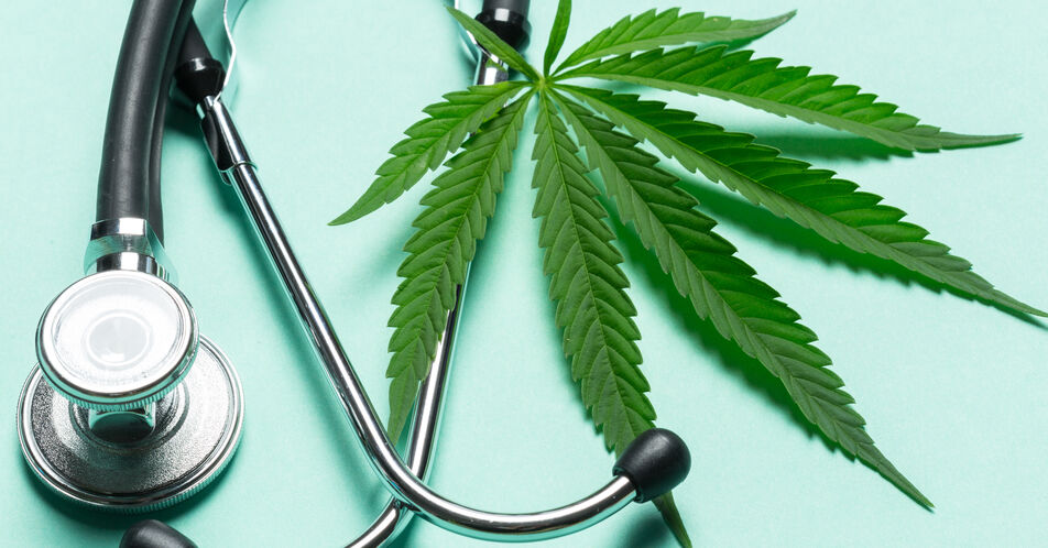 Medizinisches Cannabis: Therapieoption bei Tumorschmerzen