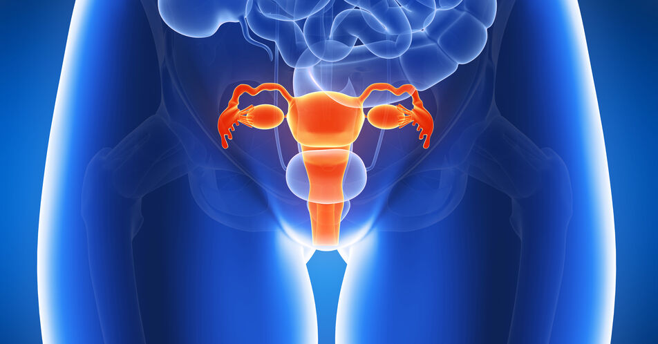 Schonendere OP bei Gebärmutterhalskrebs