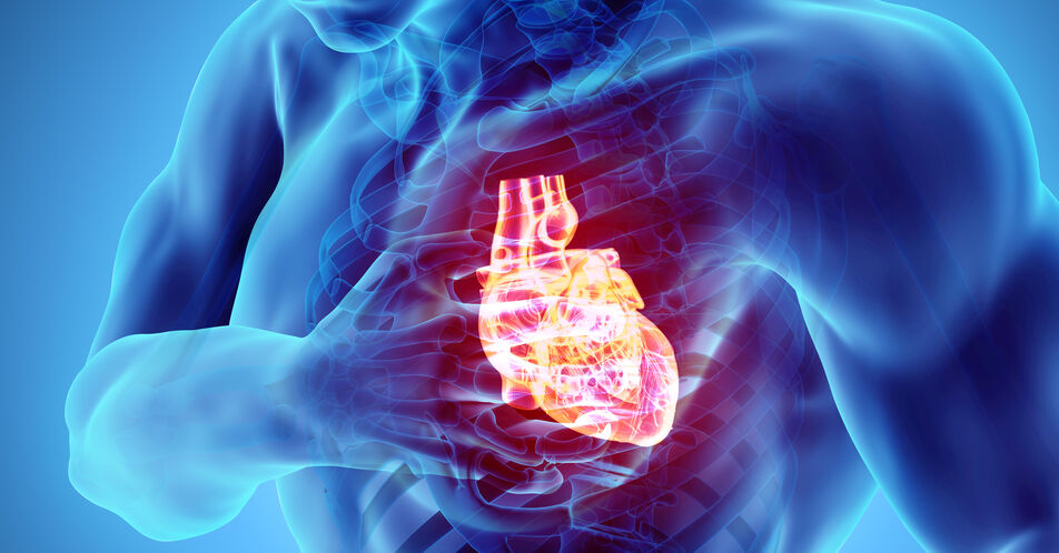 Wenn Krebsmedikamente das Herz angreifen – Myokardszintigrafie zur Frühdiagnostik