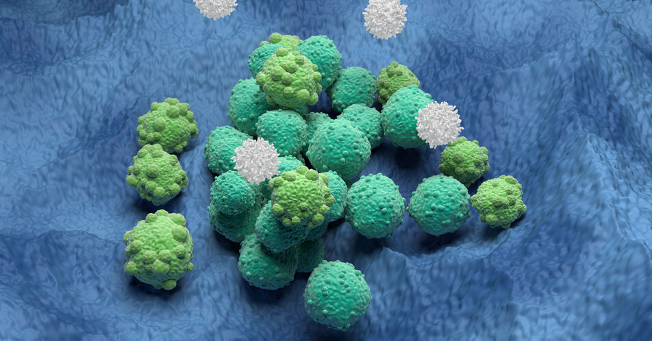 Überlegene T-Zellen bei Krebsüberlebenden entdeckt