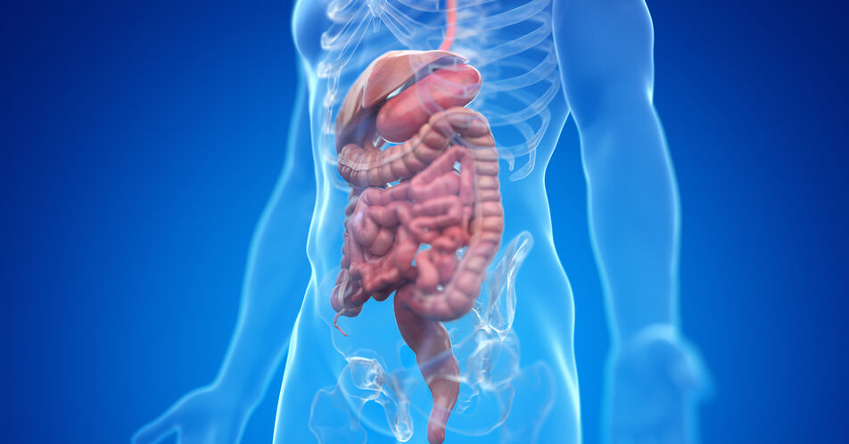 Erste S3-Leitlinie zum perioperativen Management bei gastrointestinalen Tumoren