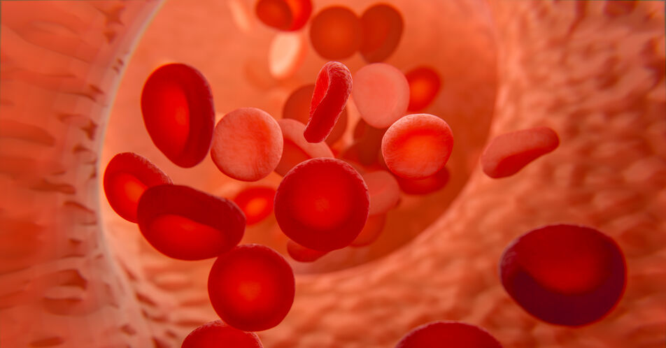 Deutliche Reduktion von Blutungen unter Marstacimab bei Hämophilie A und B