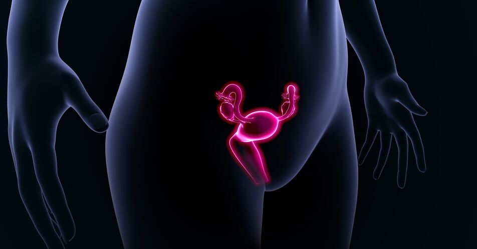 Fortgeschrittenes Ovarialkarzinom: Studien bestätigen Wirksamkeit von Niraparib