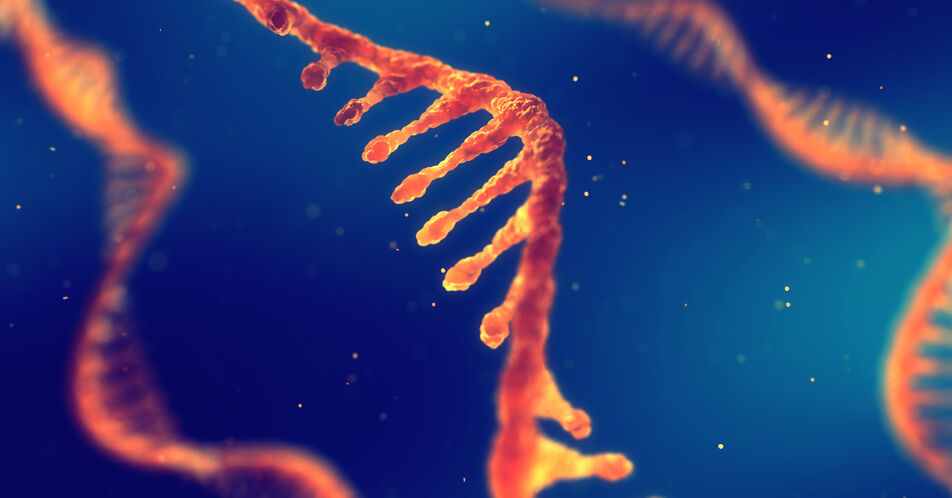 RNA unterdrückt Bildung von Brustkrebszellen