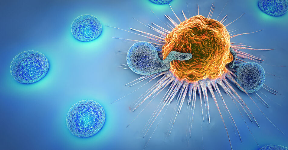 Immuntherapien in der Uroonkologie überzeugen durch Überlebensvorteile