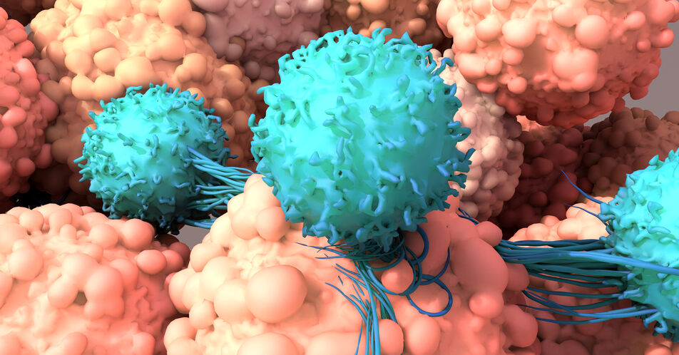 Kurzzeitig kultivierte CAR-T-Zellen: Neue Forschungsergebnisse zur Sicherheit