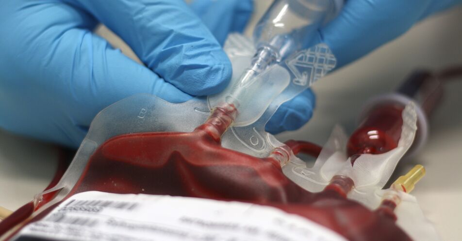 Sicherheit der intraoperativen Blutkonservierung in der Krebschirurgie – erste Ergebnisse der REMOVE-Studie