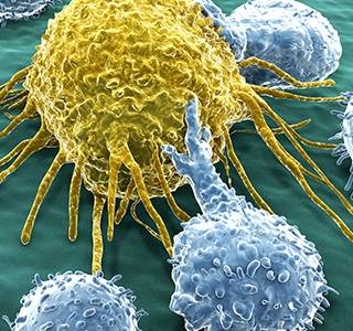Krebs: Länger leben mit Immuntherapie