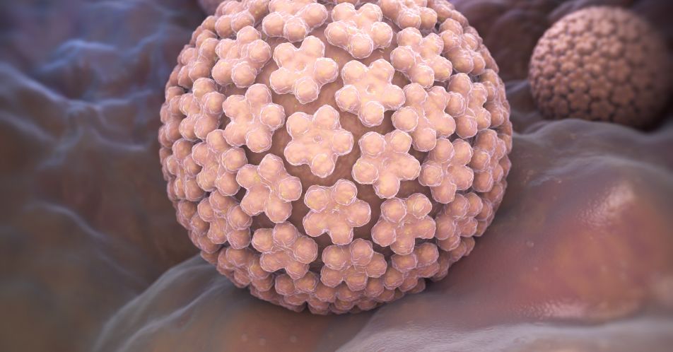 HPV: Weniger als 50% der Kinder geimpft